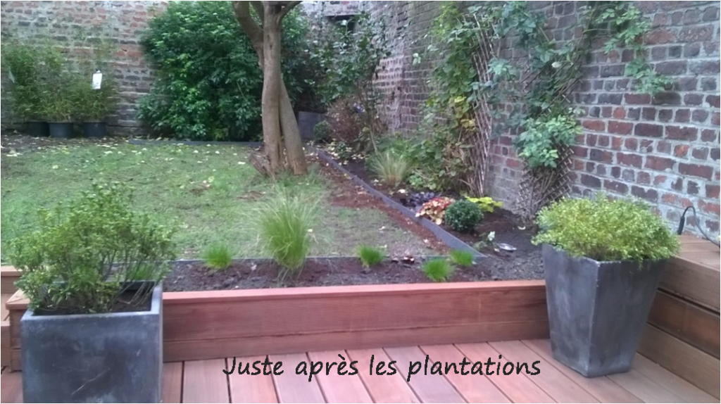 Aménagement d'un jardin à La Madeleine, après plantation