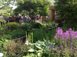 Chelsea Flower Show07