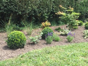 Buis graminée sauge jardin charme moderne près de Lille