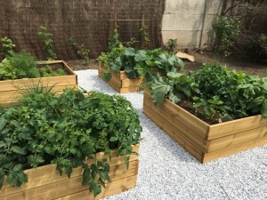 carrés potagers jardin charme moderne près de Lille