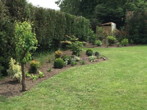 massif courbe jardin charme moderne près de Lille