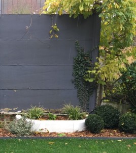 mur béton gris buis bordures droites jardin moderne marcq en baroeul