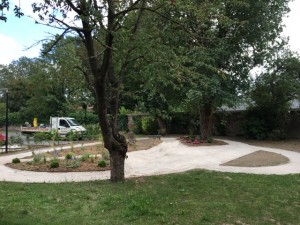 création jardin professionnel Lille 6